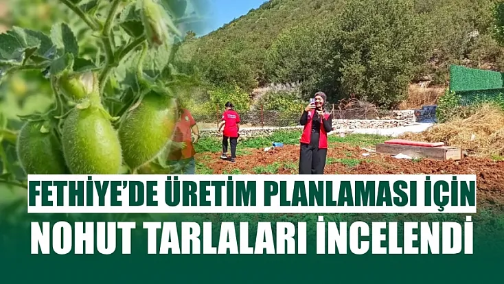 Fethiye'de üretim planlaması için nohut tarlaları incelendi