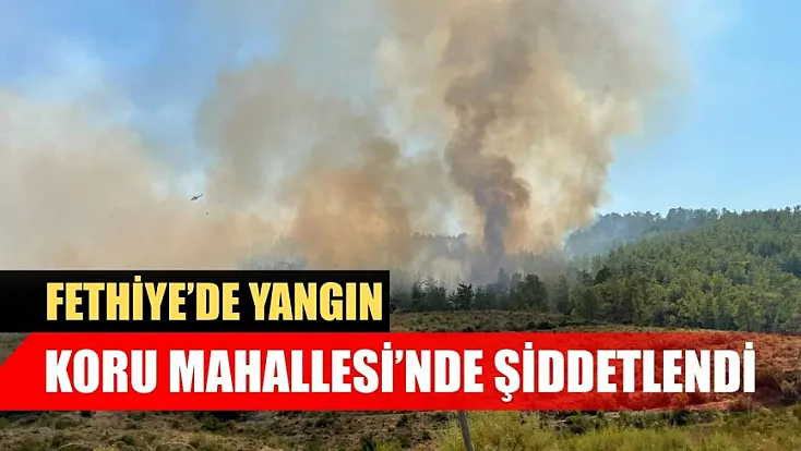 Fethiye'de yangın Koru Mahallesi'nde şiddetlendi