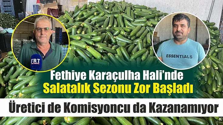 Fethiye Karaçulha Hali’nde salatalık sezonu zor başladı: Üretici de komisyoncu da kazanamıyor