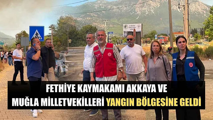 Fethiye Kaymakamı Akkaya ve Muğla Milletvekilleri yangın bölgesine geldi