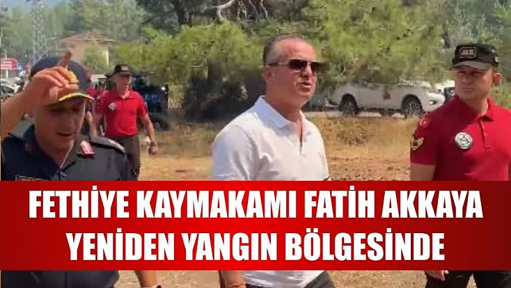 Fethiye Kaymakamı Fatih Akkaya yeniden yangın bölgesinde
