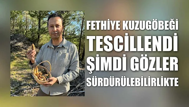 Fethiye kuzugöbeği tescillendi, şimdi gözler sürdürülebilirlikte