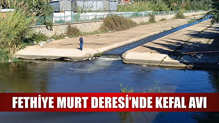Fethiye Murt Deresi’nde Kefal Avı