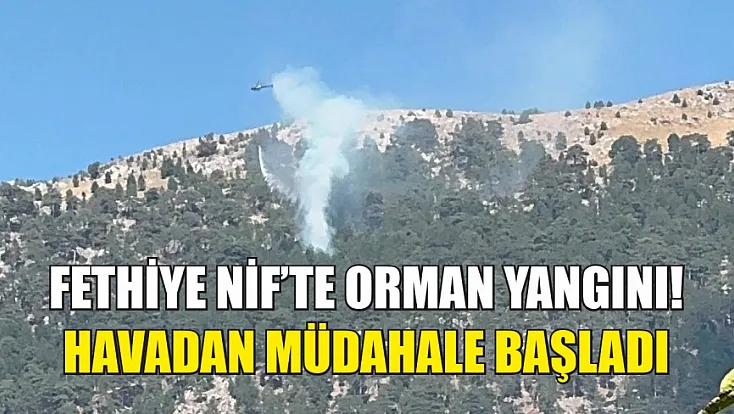 Fethiye Nif’te Orman Yangını! Havadan Müdahale Başladı