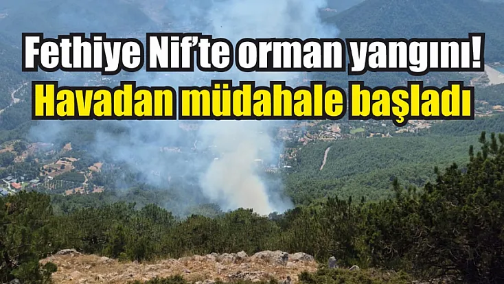Fethiye Nif’te orman yangını! Havadan müdahale başladı
