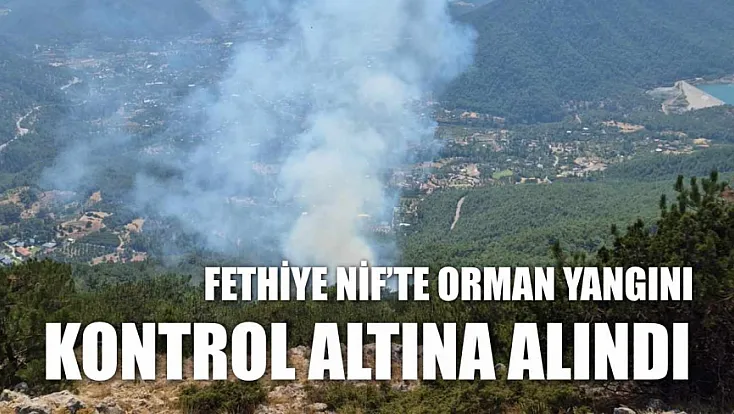 Fethiye Nif’te orman yangını kontrol altına alındı