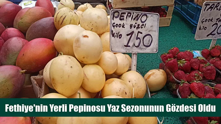 Fethiye'nin Yerli Pepinosu Yaz Sezonunun Gözdesi Oldu