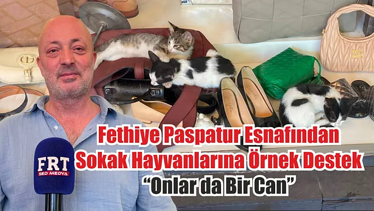 Fethiye Paspatur Esnafından Sokak Hayvanlarına Örnek Destek: ‘Onlar da Bir Can’