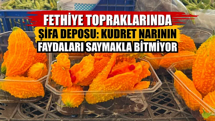 Fethiye Topraklarında Şifa Deposu: Kudret Narının Faydaları Saymakla Bitmiyor