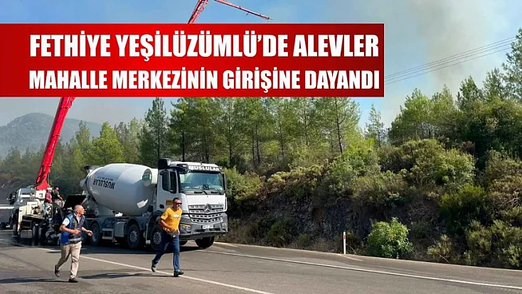 Fethiye Yeşilüzümlü'de alevler mahalle merkezinin girişine dayandı