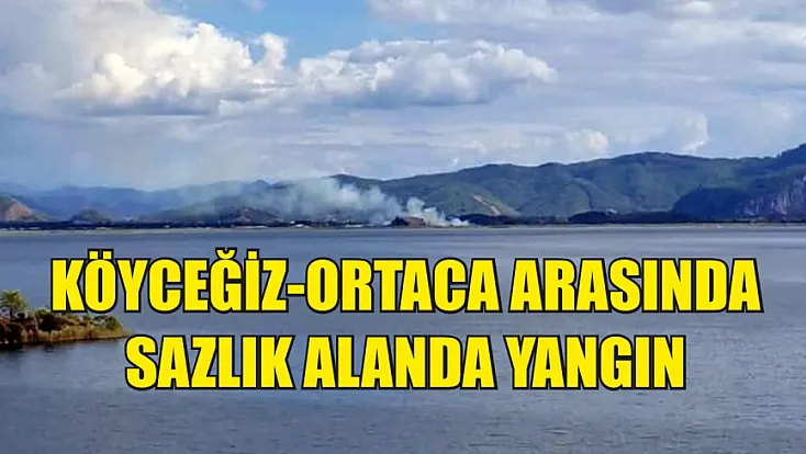 Köyceğiz-Ortaca arasında sazlık alanda yangın