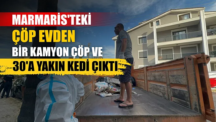 Marmaris'teki çöp evden bir kamyon çöp ve 30'a yakın kedi çıktı
