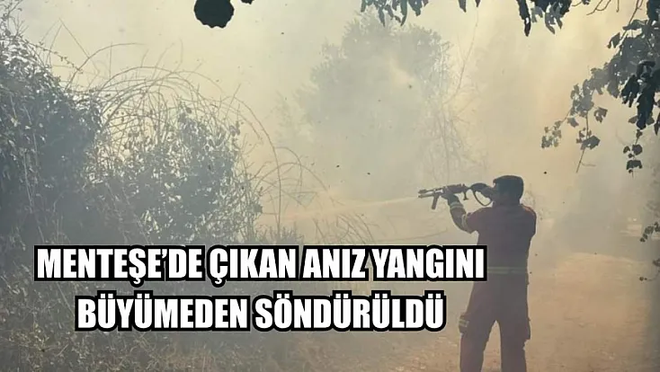 Menteşe’de çıkan anız yangını büyümeden söndürüldü