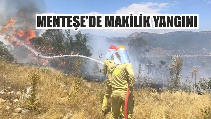Menteşe'de makilik yangını