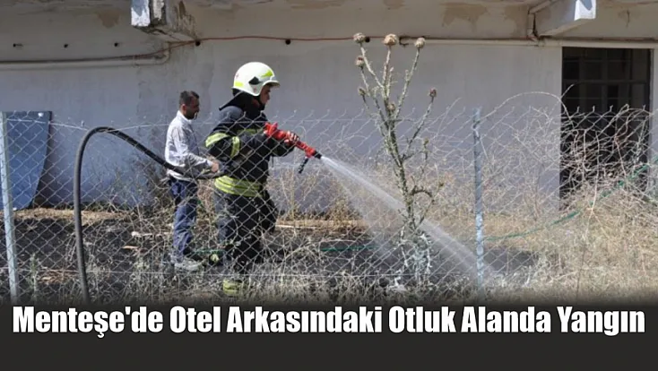 Menteşe'de otel arkasındaki otluk alanda yangın
