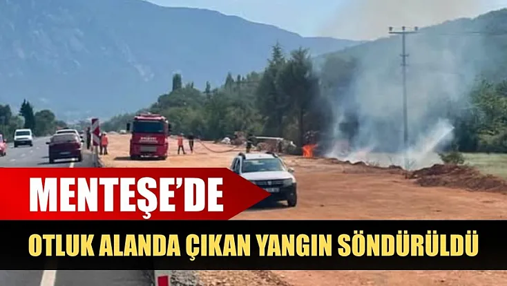 Menteşe'de otluk alanda çıkan yangın söndürüldü