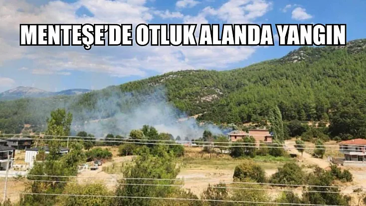 Menteşe’de otluk alanda yangın