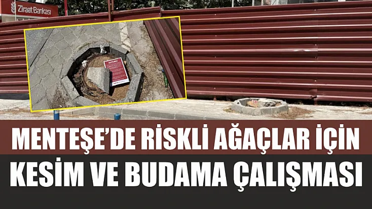 Menteşe’de riskli ağaçlar için kesim ve budama çalışması