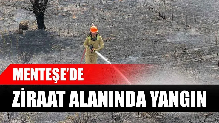 Menteşe'de ziraat alanında yangın
