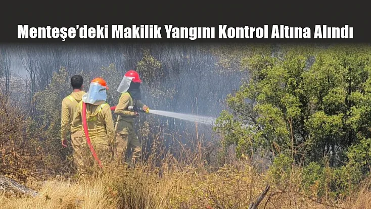 Menteşe’deki makilik yangını kontrol altına alındı