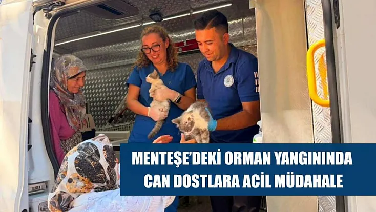 Menteşe'deki orman yangınında can dostlara acil müdahale