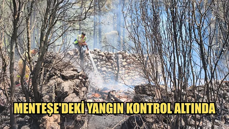 Menteşe'deki yangın kontrol altında