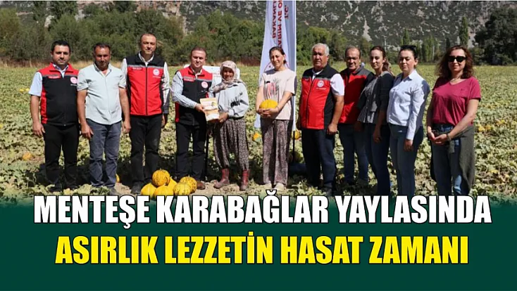 Menteşe Karabağlar yaylasında asırlık lezzetin hasat zamanı
