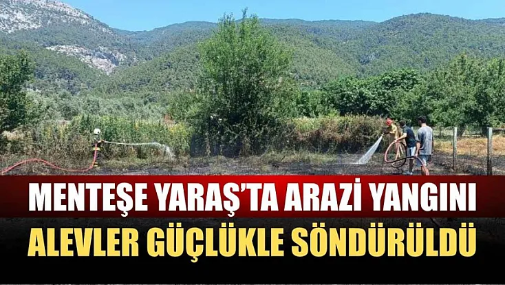 Menteşe Yaraş'ta arazi yangını: Alevler güçlükle söndürüldü