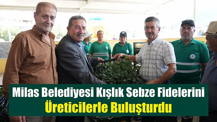 Milas Belediyesi Kışlık Sebze Fidelerini Üreticilerle Buluşturdu