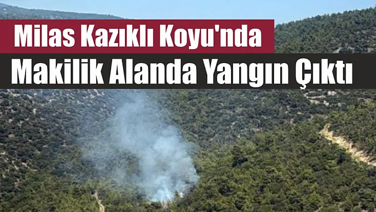 Milas Kazıklı Koyu'nda makilik alanda yangın çıktı