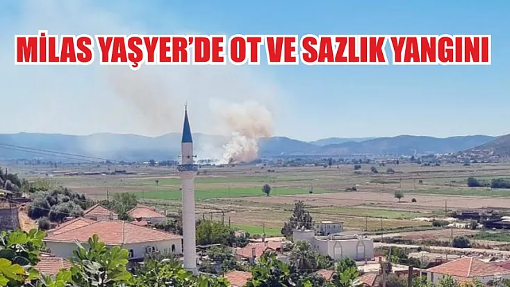 Milas Yaşyer’de ot ve sazlık yangını
