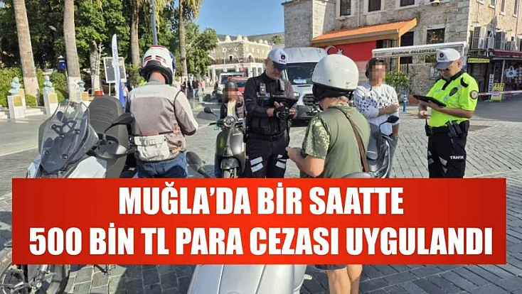 Muğla'da bir saatte 500 bin TL para cezası uygulandı