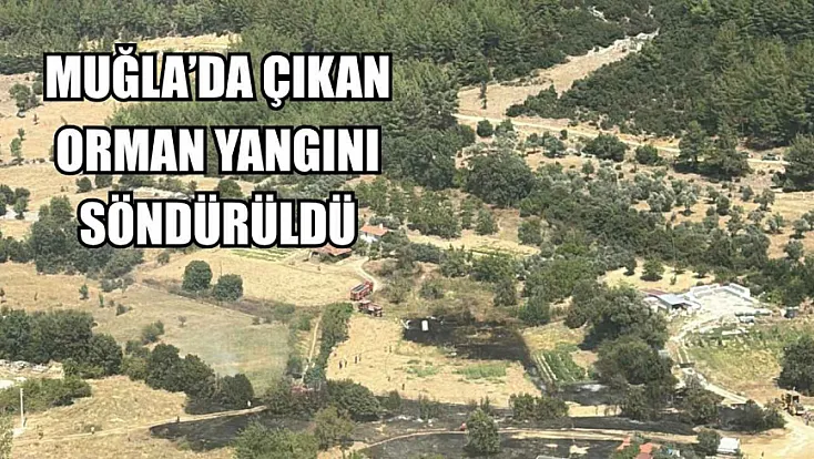 Muğla'da çıkan orman yangını söndürüldü