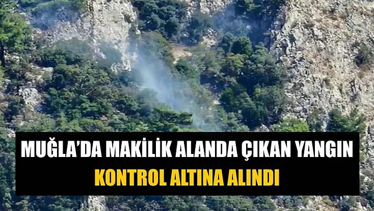Muğla’da makilik alanda çıkan yangın kontrol altına alındı