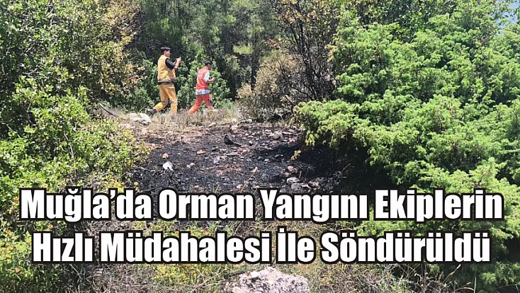 Muğla'da orman yangını ekiplerin hızlı müdahalesi ile söndürüldü