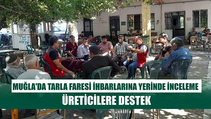 Muğla'da tarla Faresi ihbarlarına yerinde inceleme, üreticilere destek