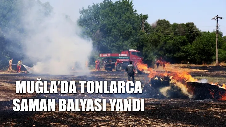 Muğla'da tonlarca saman balyası yandı