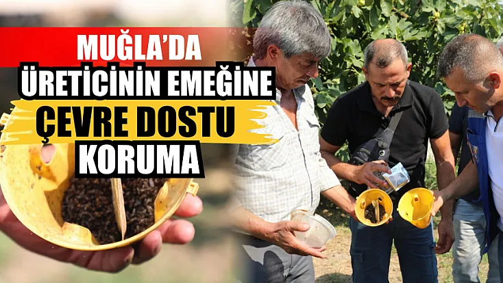 Muğla’da üreticinin emeğine çevre dostu koruma