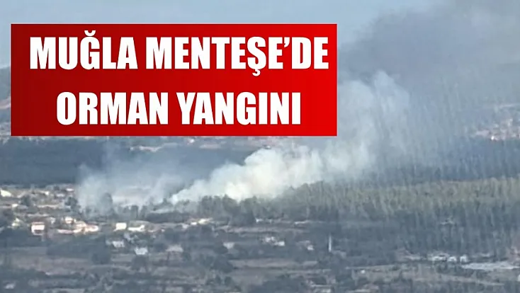 Muğla Menteşe'de orman yangını