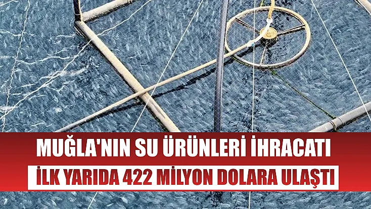 Muğla'nın su ürünleri ihracatı ilk yarıda 422 milyon dolara ulaştı