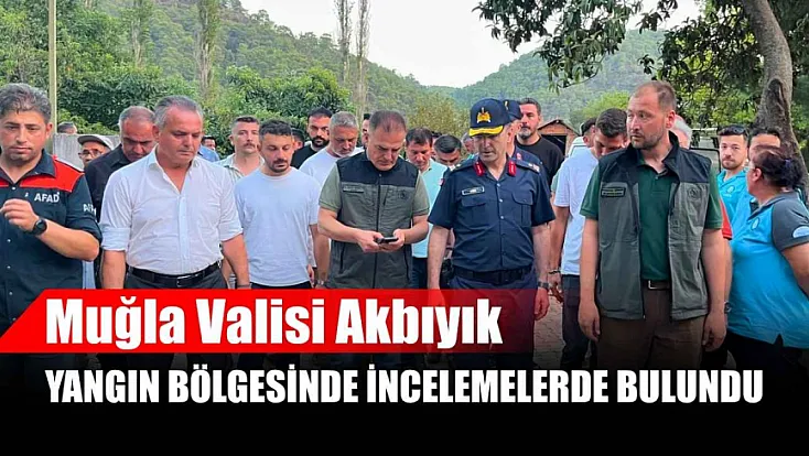 Muğla Valisi Akbıyık yangın bölgesinde incelemelerde bulundu