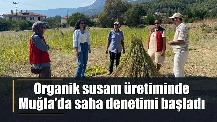Organik susam üretiminde Muğla'da saha denetimi başladı