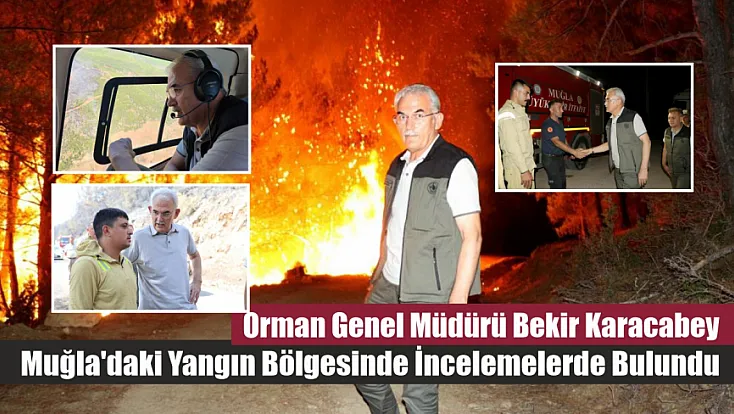 Orman Genel Müdürü Bekir Karacabey Muğla'daki Yangın Bölgesinde İncelemelerde Bulundu