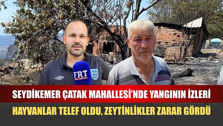 Seydikemer Çatak Mahallesi'nde yangının izleri: Hayvanlar telef oldu, zeytinlikler zarar gördü