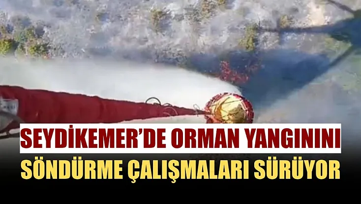 Seydikemer'de orman yangınını söndürme çalışmaları sürüyor