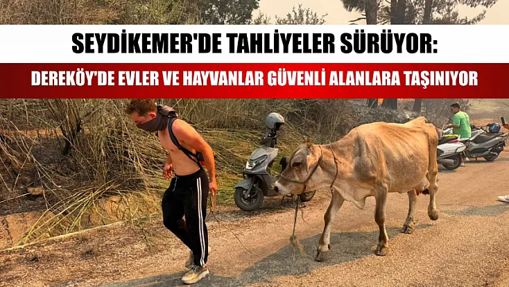 Seydikemer'de tahliyeler sürüyor: Dereköy'de evler ve hayvanlar güvenli alanlara taşınıyor