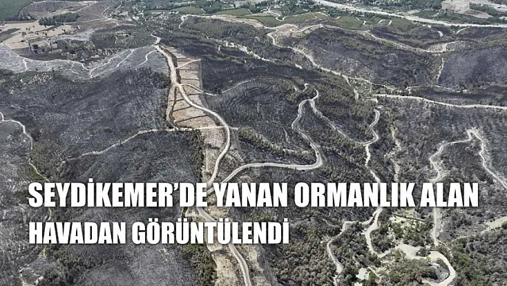 Seydikemer'de yanan ormanlık alan havadan görüntülendi