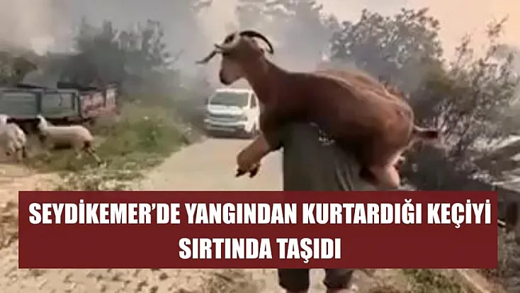 Seydikemer'de yangından kurtardığı keçiyi sırtında taşıdı