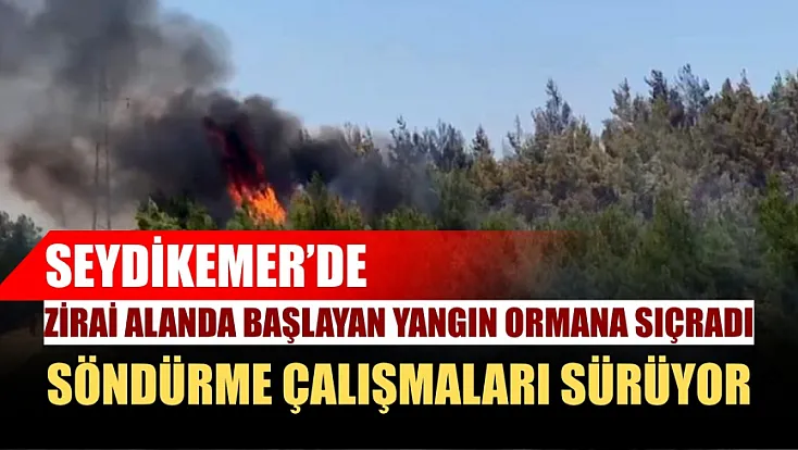 Seydikemer'de zirai alanda başlayan yangın ormana sıçradı, söndürme çalışmaları sürüyor