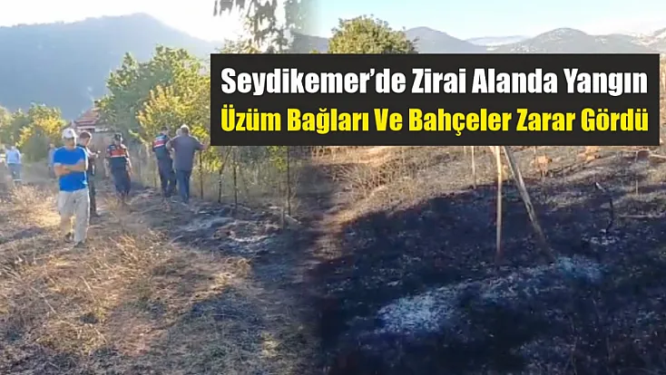 Seydikemer’de zirai alanda yangın: Üzüm bağları ve bahçeler zarar gördü
